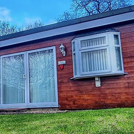 Ranger - Snowdon Cabins Holiday Let Caernarfon Caeathro Esterno foto
